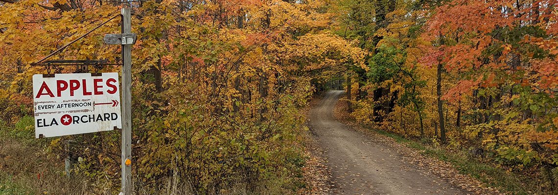 Fall colors and driveway to the orchard.